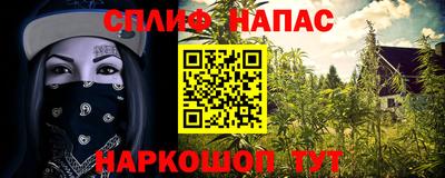 ГАЛЛЮЦИНОГЕННЫЕ ГРИБЫ Канаш