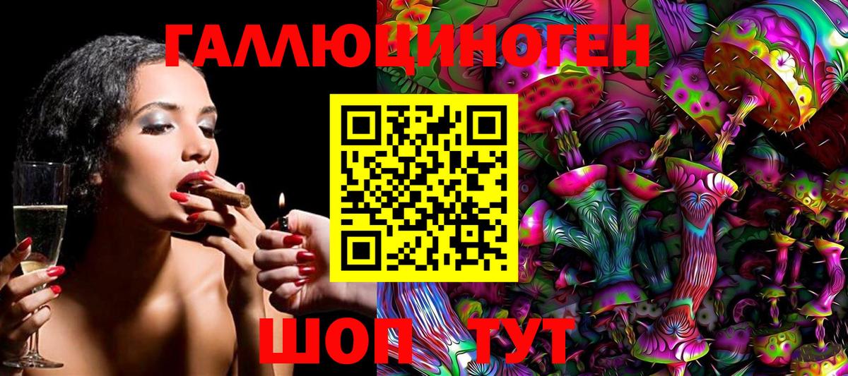 Кызыл  Галлюциногенные грибы Cubensis  Вход с VPN 